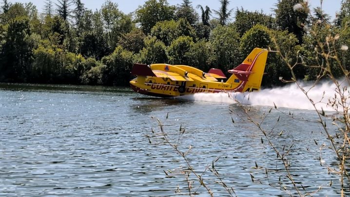 10d8cf4f-4422-436e-a72d-d1cd06163c21 Incendie en Île-de-France : Une Prise de Conscience et d’Action à Fontainebleau