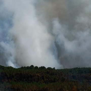 10f70c71-3df9-4c23-aae1-d58376887127 Incendies en Gironde et dans le Var : un point sur la situation