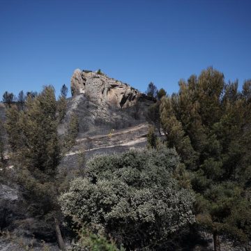 Lutte intense contre les incendies en France : aspects clés et défis