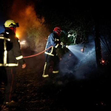 1a8eb2d8-a864-42ba-a147-83f740cf0bc6 Nouvelle reprise de feu en forêt de Fontainebleau