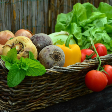 1aa3e691-9c65-44c8-85f8-f56e764b76f1 Hausse des prix des légumes en France, impact du climat