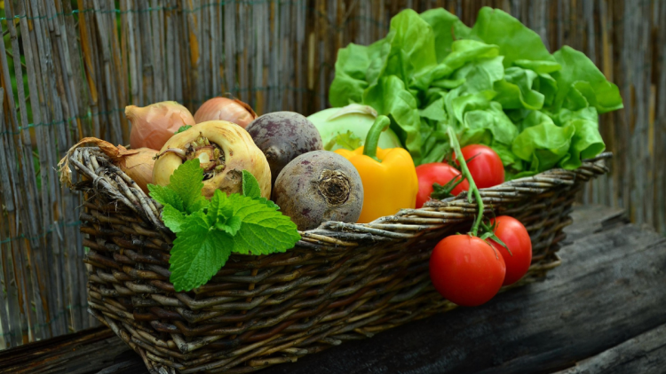 1aa3e691-9c65-44c8-85f8-f56e764b76f1 Hausse des prix des légumes en France, impact du climat