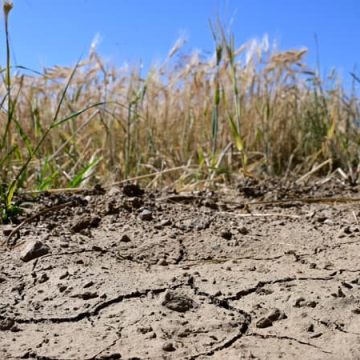 La France face à la sécheresse : défis et stratégies