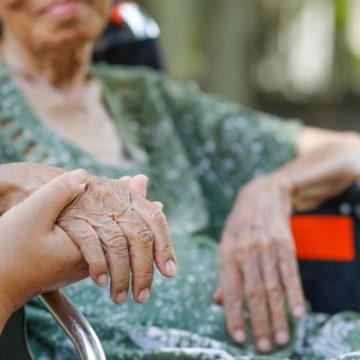 Des avancées sur la maladie d&rsquo;Alzheimer avec un circuit nerveux et musculaire