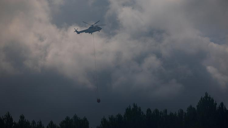 1cce010a-ea32-4214-b2c5-3c7811f77087 Les émissions de carbone dues aux incendies en France atteignent un record