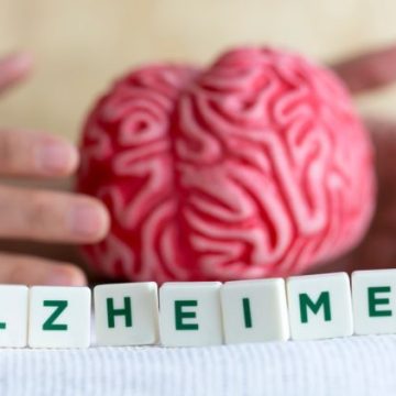 1d2e5358-b2da-4ca0-8a1d-cf9eb14b4fcd Les secrets de la résistance cérébrale à la maladie d’Alzheimer