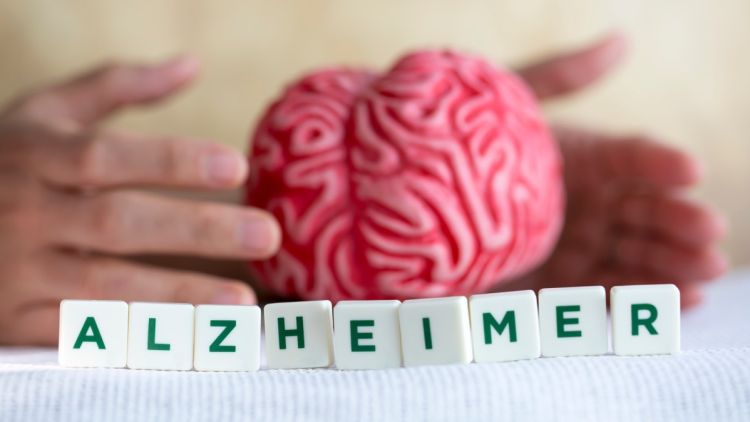 1d2e5358-b2da-4ca0-8a1d-cf9eb14b4fcd Les secrets de la résistance cérébrale à la maladie d’Alzheimer