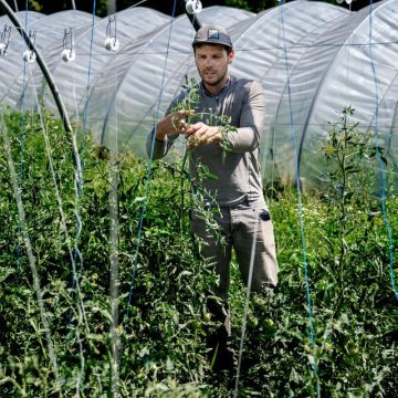 Les aléas climatiques menacent les maraîchers bio en France