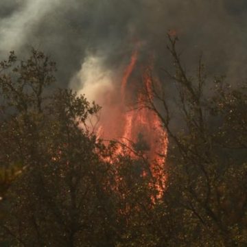 1e5bad4f-4587-475d-adeb-d6e147a9dcf9 Comparution en justice pour incendie volontaire à Ollioules