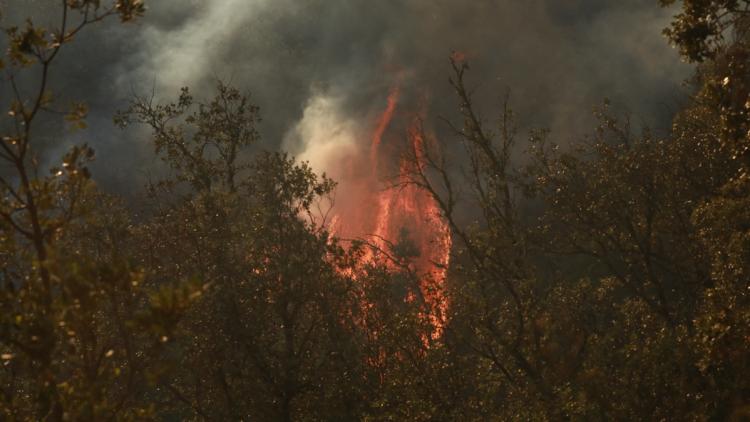 1e5bad4f-4587-475d-adeb-d6e147a9dcf9 Comparution en justice pour incendie volontaire à Ollioules