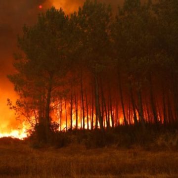 22cc4e31-a68a-4307-b0f8-8264250e26c8 Les nouveaux défis des pompiers face aux incendies convectifs