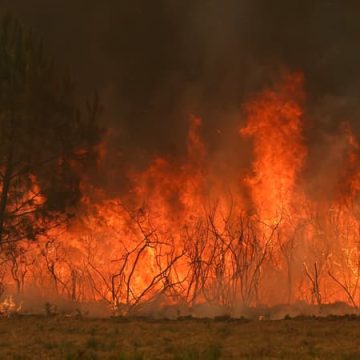 23f08433-2e0c-4cd3-a929-6c665e72a9bf Pyrocumulonimbus et incendies en Gironde : un phénomène inédit en France