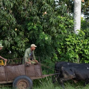 L’embargo pétrolier américain accentue la crise à Cuba
