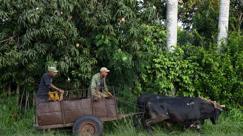 2569a813-af99-4993-9640-e25a52ead98f L’embargo pétrolier américain accentue la crise à Cuba