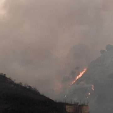 2a7c9e80-2728-41dd-a5bc-0de8a19d83b9 Utilisation des Chats pour Déclencher des Incendies en Italie