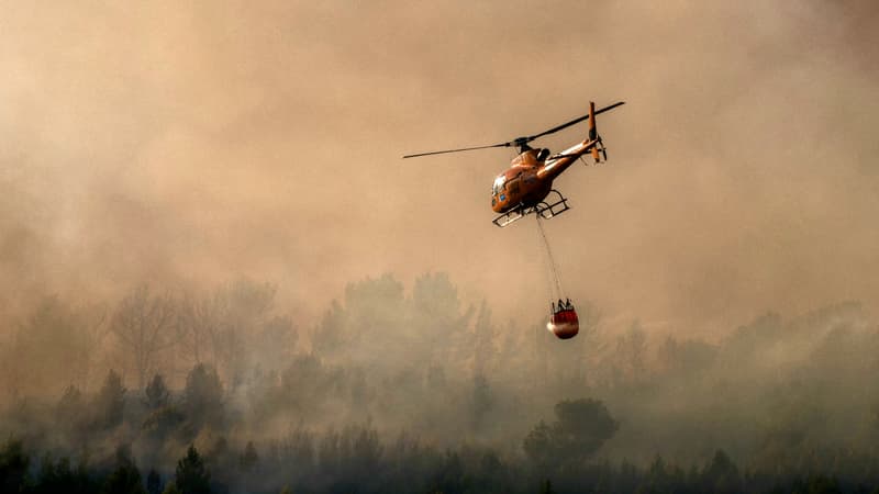2c3a6c6a-b3b6-4bcb-b133-2a34cf9dacda Incendie de forêt dans les Pyrénées-Orientales: une situation préoccupante