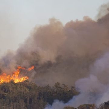 2ecce4f4-f9bc-4fec-917f-7619dff37f96 Incendies dévastateurs en Espagne : un impact significatif