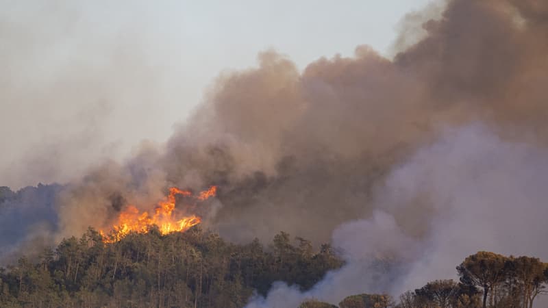 2ecce4f4-f9bc-4fec-917f-7619dff37f96 Incendies dévastateurs en Espagne : un impact significatif