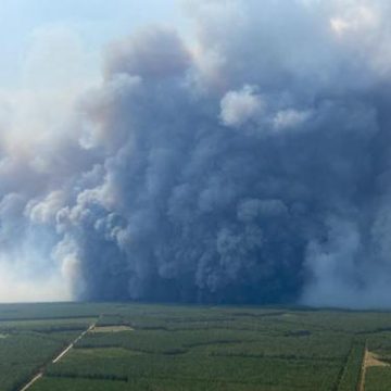 322be5e4-ebff-4a2a-9100-cf48595752a4 L’incendie imprévisible en Gironde : un phénomène rare et dangereux