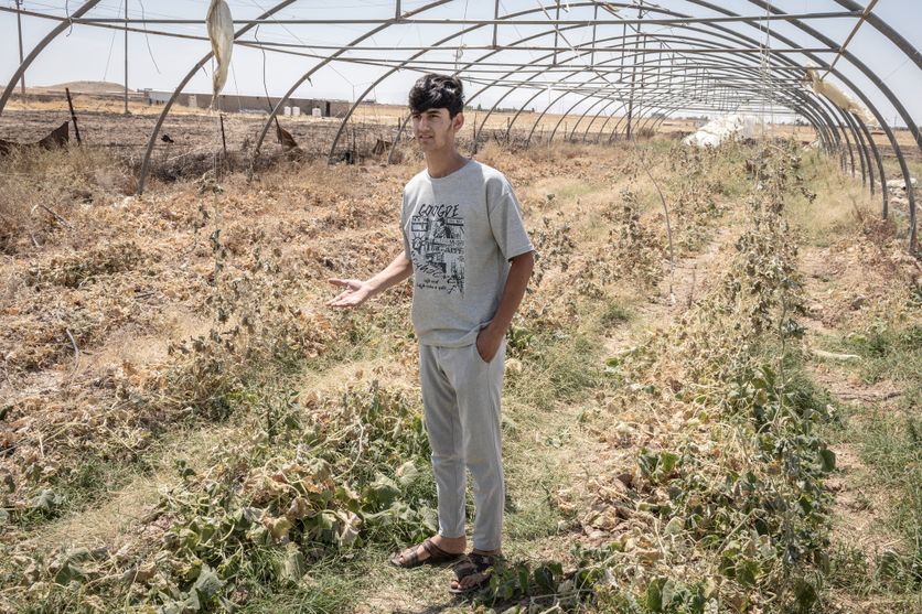Irak Les défis agricoles de Sinjar face à la sécheresse