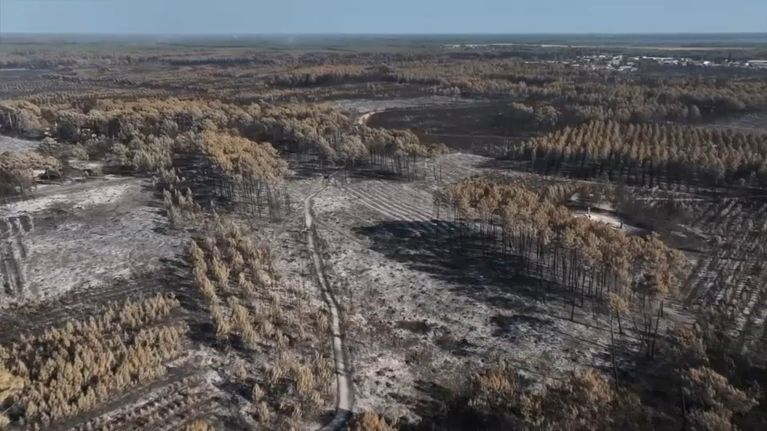 38eb40ad-d69e-4c13-8836-039e6bec6313 L’incendie en Gironde : un désastre écologique