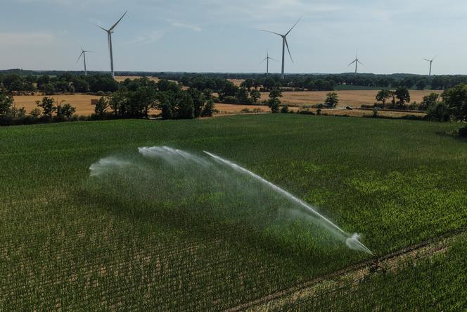 3bf159ab-e367-4d38-bd40-e1ba92f11d51 Compromis Parlementaire sur la Loi d’Urgence Agricole