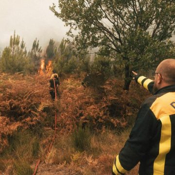 Incendies en France et en Europe : la situation actuelle