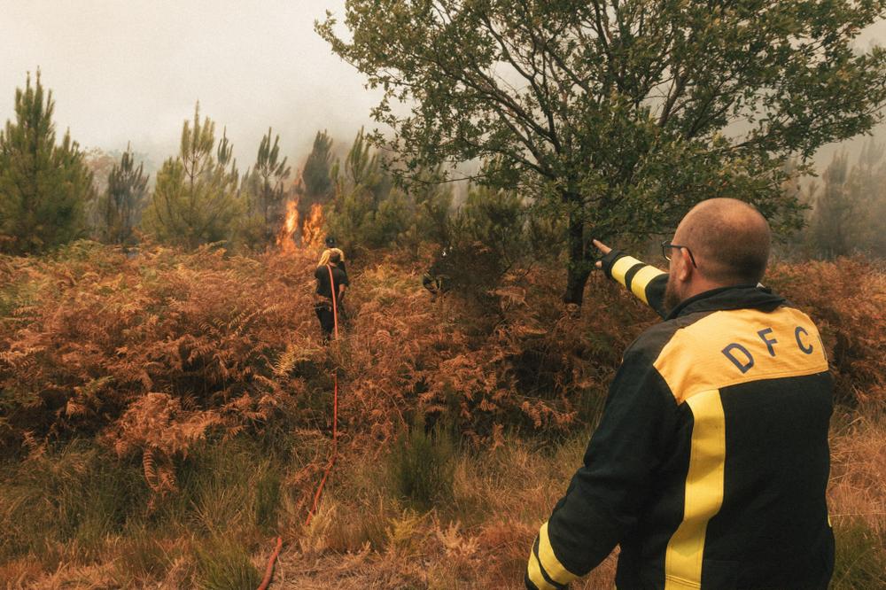 40743bc4-819f-4c6a-a282-334471c3d1be Incendies en France et en Europe : la situation actuelle