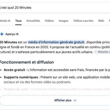 Éviter les Aperçus IA de Google