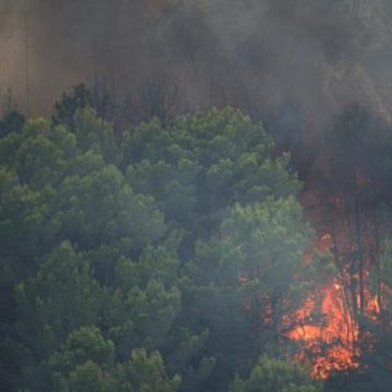 423d771e-1bd5-4a17-a692-50fae66e5e24 Débordement des incendies dans le Var : évacuations massives