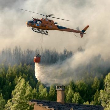 Les Incendies de Forêt en France: Risques Élevés et Mobilisation des Pompiers