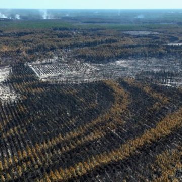 481f78a8-7e78-45a5-8886-f9598a1eb7bb La Lutte Contre les Incendies en France et en Europe