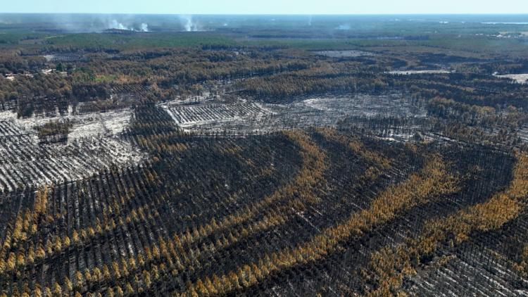 481f78a8-7e78-45a5-8886-f9598a1eb7bb La Lutte Contre les Incendies en France et en Europe