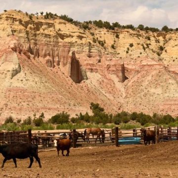 48ec4a42-66d9-4671-b311-993ca3ffe14e Donald Trump réduit à nouveau des zones protégées de l’Utah