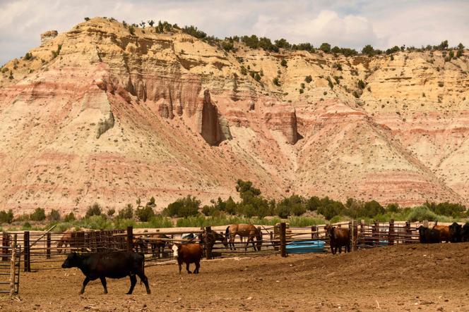 48ec4a42-66d9-4671-b311-993ca3ffe14e Donald Trump réduit à nouveau des zones protégées de l’Utah