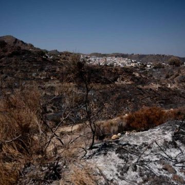 Incendie meurtrier en Andalousie : bilan et conséquences