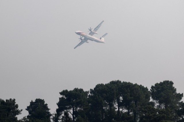 4a09c08b-7df5-40d4-b98e-57705048a044 Un incendie ravage la forêt de Fontainebleau : Mobilisation exceptionnelle des secours