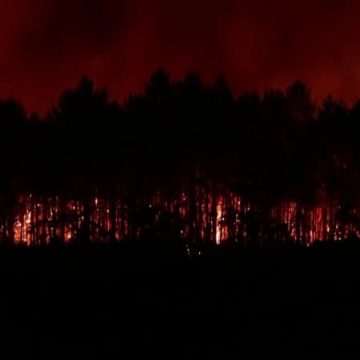 50b77d69-0061-4faa-8065-5f45578708d4 Incendies en France: mobilisation et efforts d’Europe