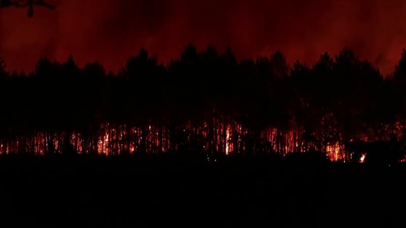 50b77d69-0061-4faa-8065-5f45578708d4 Incendies en France: mobilisation et efforts d’Europe