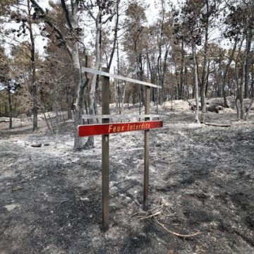 5104b6af-5bef-4db5-8099-be4be62201e9 L’incendie dans la forêt de Fontainebleau : une investigation criminelle