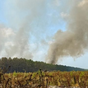 5a952af7-27fa-45c1-96ad-f4ed4ffdcce3 Lutte contre un incendie massif en Gironde : opérations en cours