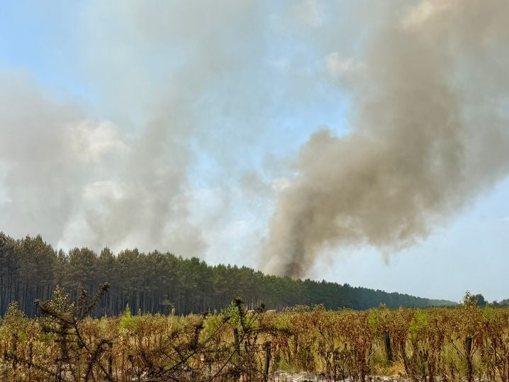 5a952af7-27fa-45c1-96ad-f4ed4ffdcce3 Lutte contre un incendie massif en Gironde : opérations en cours