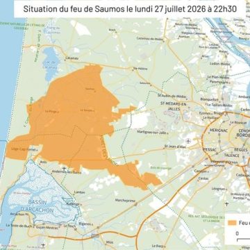 5b86dfb7-a6ce-4cf2-9dd7-f8d9f813496c La réponse des forestiers privés aux déclarations de Macron