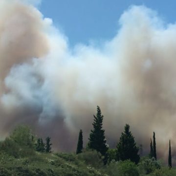 Un incendie ravage 540 hectares dans le Gard