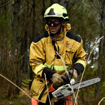 Les incendies dévastateurs en France et au Portugal : état des lieux et actions entreprises