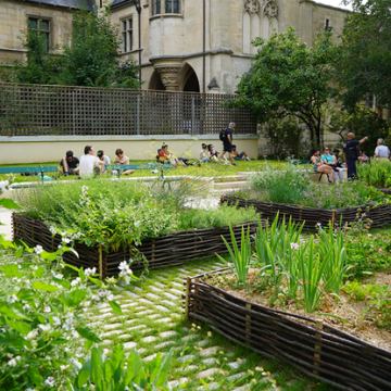 Découverte des jardins médiévaux : un héritage réinventé