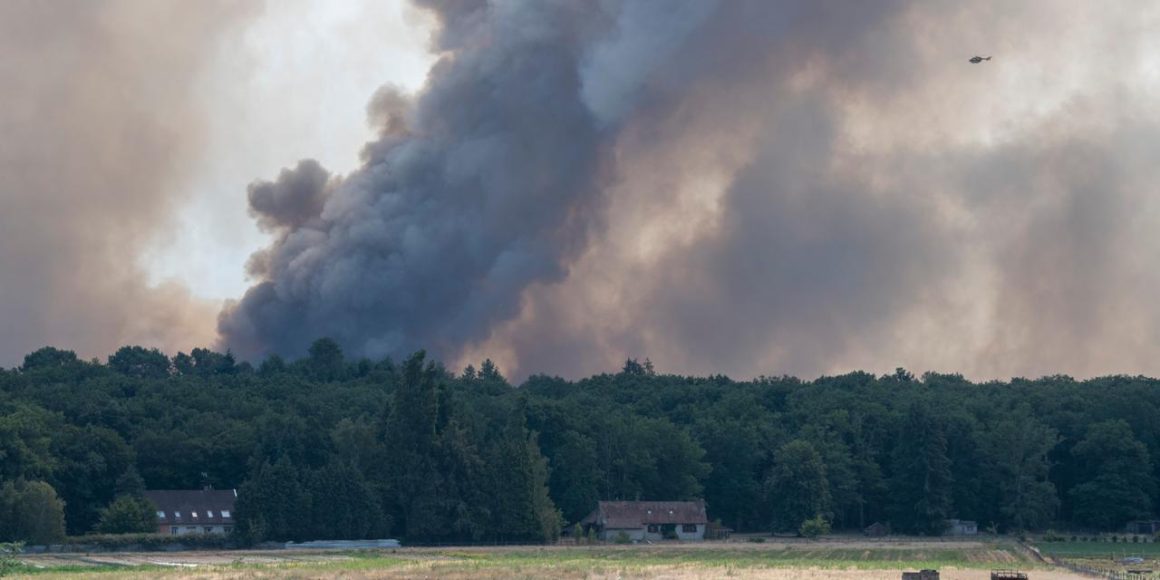 644e459b-9fd0-4fb6-8861-f04675f70505 Incendies en Île-de-France : Un combat acharné