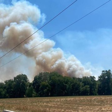 64ceaaf1-706b-4b75-8c0e-8ffce3e6b9ba Incendies en Gironde et dans le Var: Mise à jour et impacts
