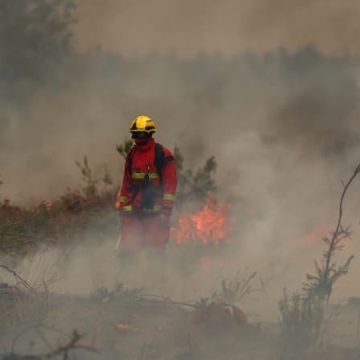 Incendies dévastateurs en France: la situation en Gironde et ailleurs