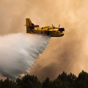 Incendies et Canicule en France : Situation Critique